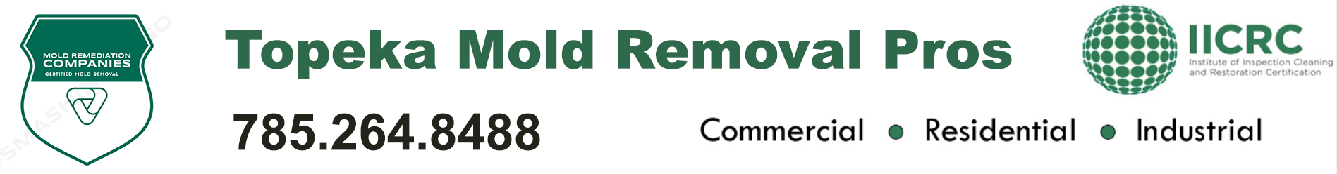 Topeka Mold Removal Pros