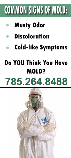 Topeka Mold Remediation Contractor